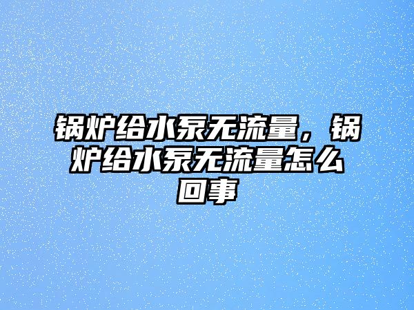 鍋爐給水泵無(wú)流量，鍋爐給水泵無(wú)流量怎么回事