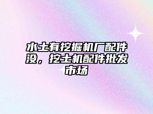 水土有挖掘機(jī)廠配件沒，挖土機(jī)配件批發(fā)市場