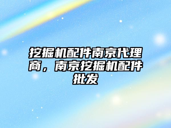 挖掘機配件南京代理商，南京挖掘機配件批發(fā)