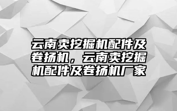 云南賣挖掘機配件及卷揚機，云南賣挖掘機配件及卷揚機廠家