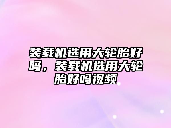 裝載機選用大輪胎好嗎，裝載機選用大輪胎好嗎視頻