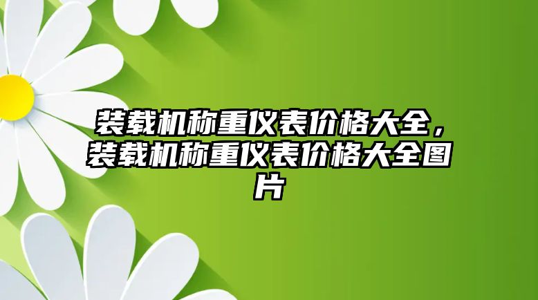 裝載機稱重儀表價格大全，裝載機稱重儀表價格大全圖片