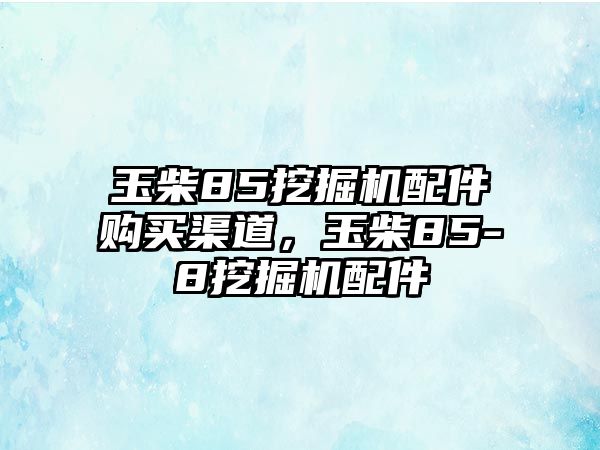 玉柴85挖掘機配件購買渠道，玉柴85-8挖掘機配件