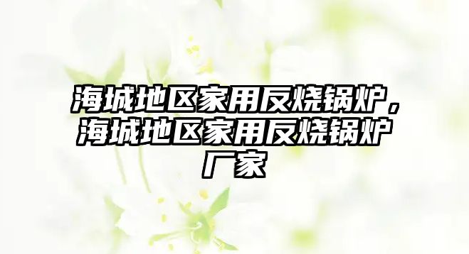 海城地區家用反燒鍋爐，海城地區家用反燒鍋爐廠家