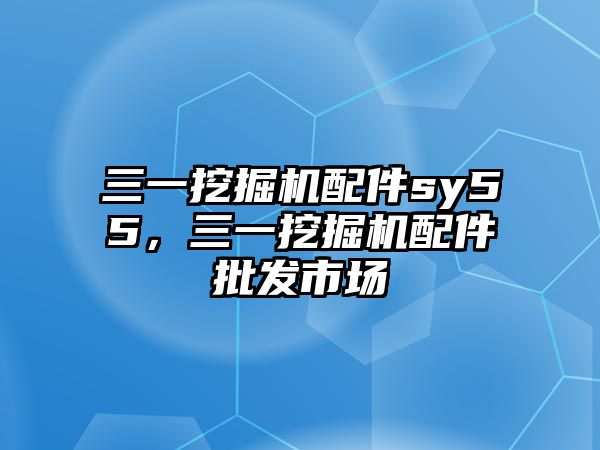 三一挖掘機(jī)配件sy55，三一挖掘機(jī)配件批發(fā)市場(chǎng)