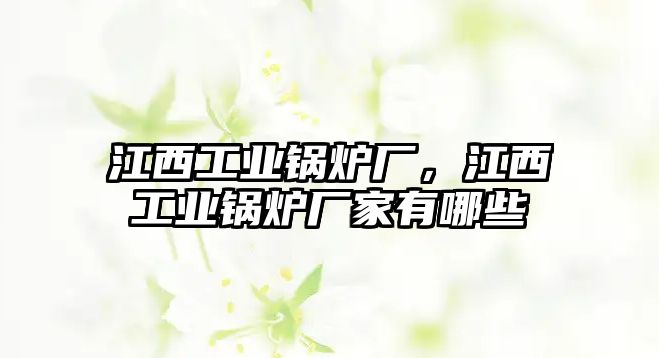 江西工業鍋爐廠，江西工業鍋爐廠家有哪些