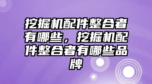 挖掘機配件整合者有哪些，挖掘機配件整合者有哪些品牌