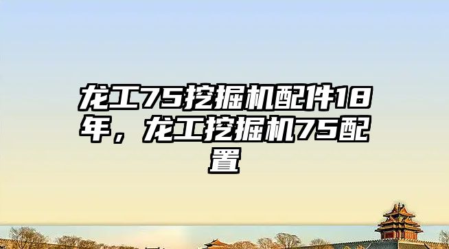 龍工75挖掘機配件18年，龍工挖掘機75配置