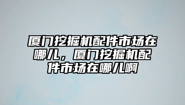 廈門挖掘機配件市場在哪兒，廈門挖掘機配件市場在哪兒啊