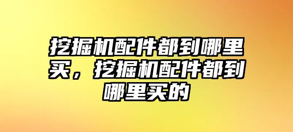 挖掘機配件都到哪里買，挖掘機配件都到哪里買的