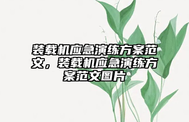 裝載機(jī)應(yīng)急演練方案范文，裝載機(jī)應(yīng)急演練方案范文圖片