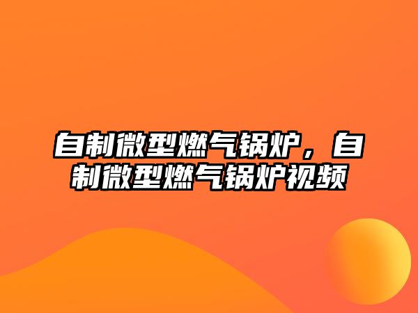 自制微型燃氣鍋爐，自制微型燃氣鍋爐視頻