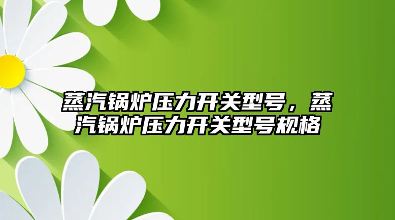 蒸汽鍋爐壓力開關型號，蒸汽鍋爐壓力開關型號規(guī)格