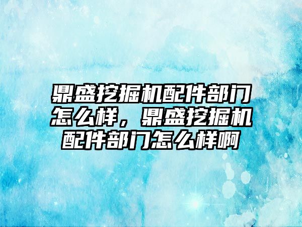 鼎盛挖掘機配件部門怎么樣，鼎盛挖掘機配件部門怎么樣啊