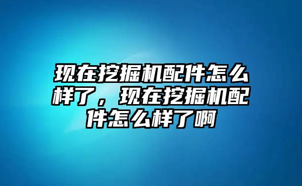 現在挖掘機配件怎么樣了，現在挖掘機配件怎么樣了啊