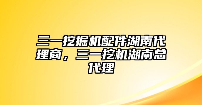 三一挖掘機(jī)配件湖南代理商，三一挖機(jī)湖南總代理