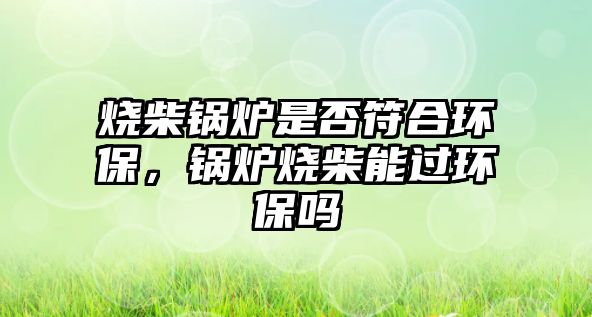 燒柴鍋爐是否符合環保，鍋爐燒柴能過環保嗎