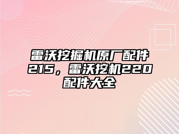 雷沃挖掘機(jī)原廠配件215，雷沃挖機(jī)220配件大全