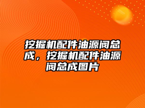 挖掘機配件油源閥總成，挖掘機配件油源閥總成圖片