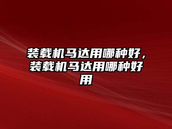 裝載機馬達用哪種好，裝載機馬達用哪種好用