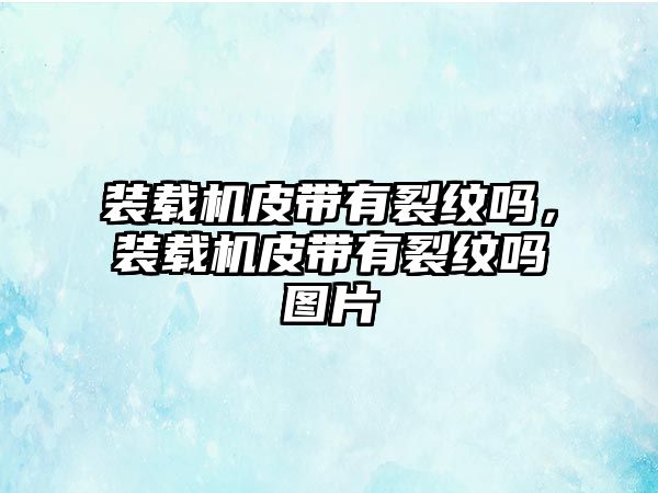 裝載機皮帶有裂紋嗎，裝載機皮帶有裂紋嗎圖片