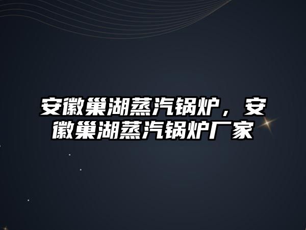 安徽巢湖蒸汽鍋爐，安徽巢湖蒸汽鍋爐廠家