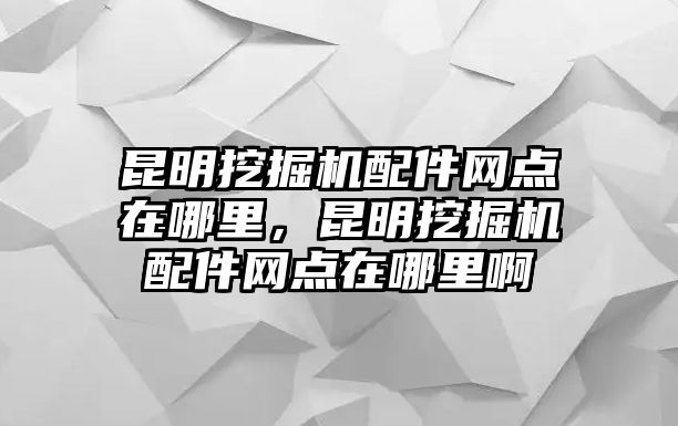 昆明挖掘機配件網點在哪里，昆明挖掘機配件網點在哪里啊