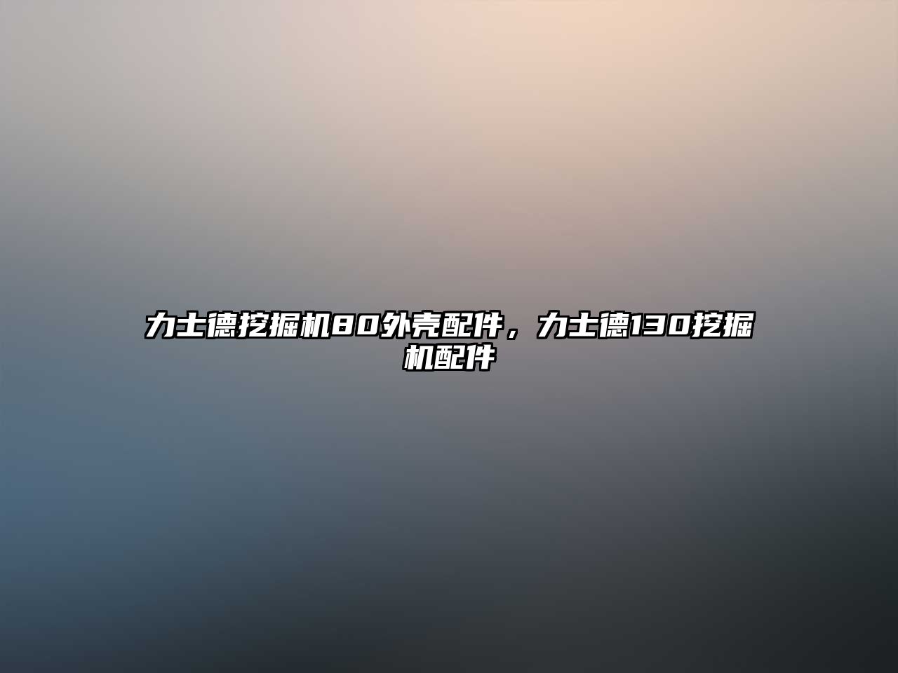 力士德挖掘機(jī)80外殼配件，力士德130挖掘機(jī)配件