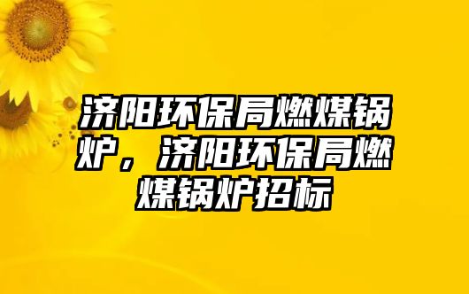 濟陽環保局燃煤鍋爐，濟陽環保局燃煤鍋爐招標