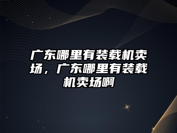 廣東哪里有裝載機賣場，廣東哪里有裝載機賣場啊