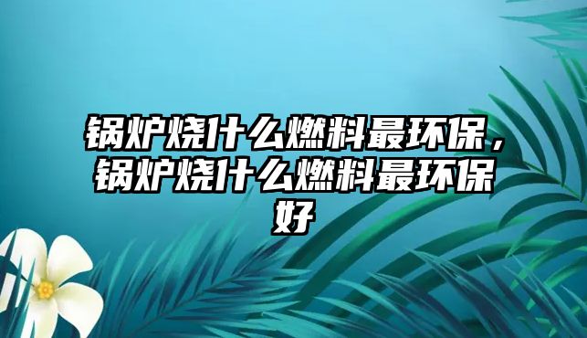 鍋爐燒什么燃料最環保，鍋爐燒什么燃料最環保好