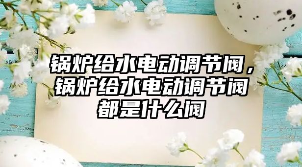 鍋爐給水電動調節閥，鍋爐給水電動調節閥都是什么閥