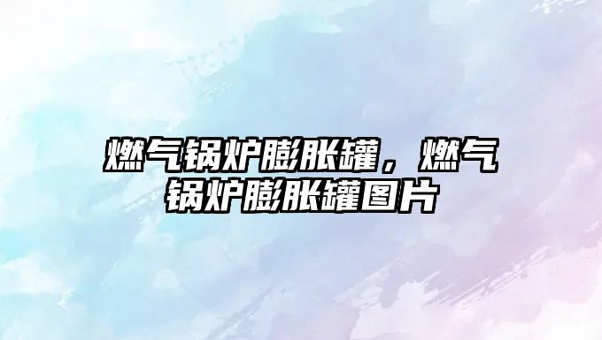 燃?xì)忮仩t膨脹罐，燃?xì)忮仩t膨脹罐圖片