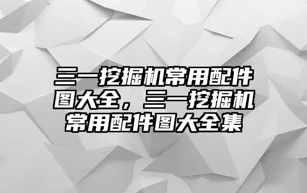 三一挖掘機常用配件圖大全，三一挖掘機常用配件圖大全集