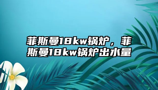 菲斯曼18kw鍋爐，菲斯曼18kw鍋爐出水量