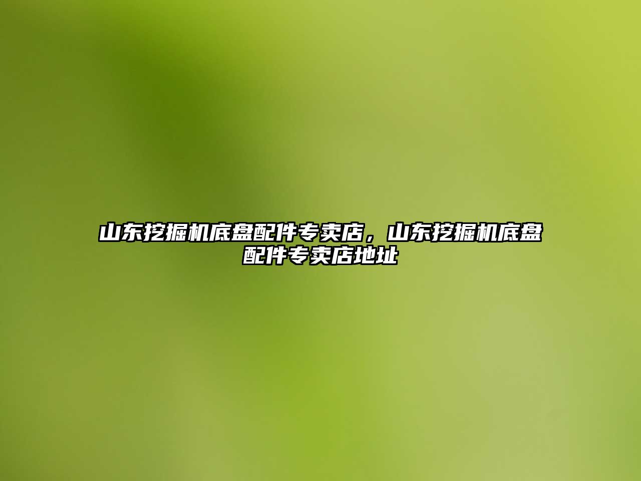 山東挖掘機底盤配件專賣店，山東挖掘機底盤配件專賣店地址