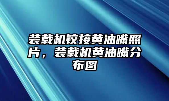 裝載機鉸接黃油嘴照片，裝載機黃油嘴分布圖