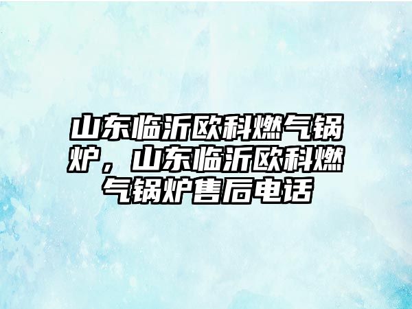 山東臨沂歐科燃?xì)忮仩t，山東臨沂歐科燃?xì)忮仩t售后電話