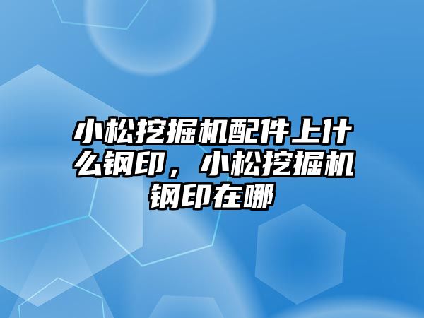 小松挖掘機配件上什么鋼印，小松挖掘機鋼印在哪