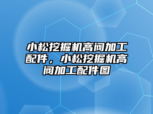 小松挖掘機(jī)高閥加工配件，小松挖掘機(jī)高閥加工配件圖