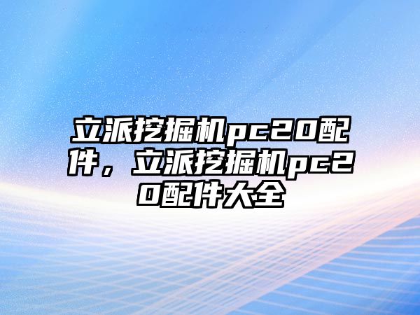 立派挖掘機pc20配件，立派挖掘機pc20配件大全