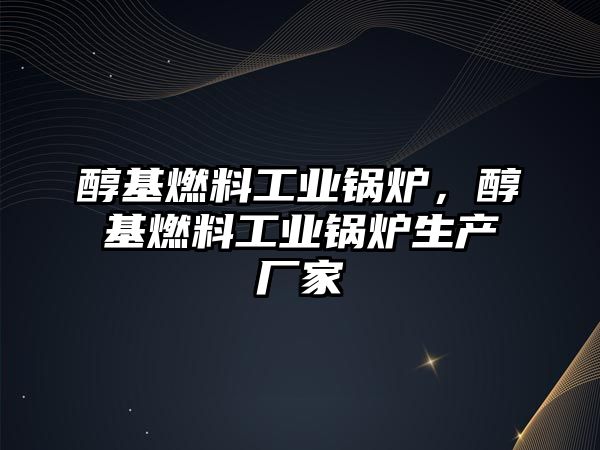 醇基燃料工業鍋爐，醇基燃料工業鍋爐生產廠家