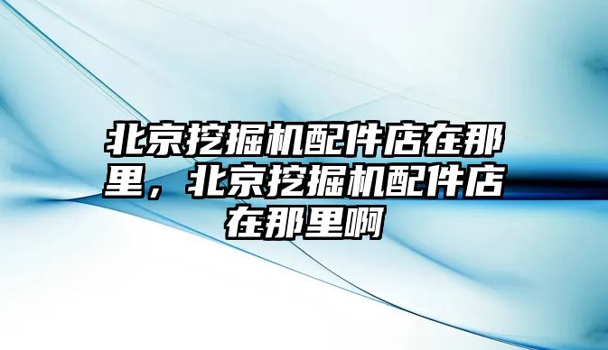 北京挖掘機配件店在那里，北京挖掘機配件店在那里啊