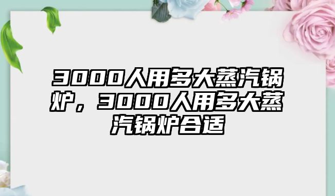 3000人用多大蒸汽鍋爐，3000人用多大蒸汽鍋爐合適