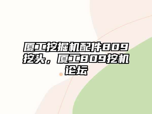 廈工挖掘機配件809挖頭，廈工809挖機論壇