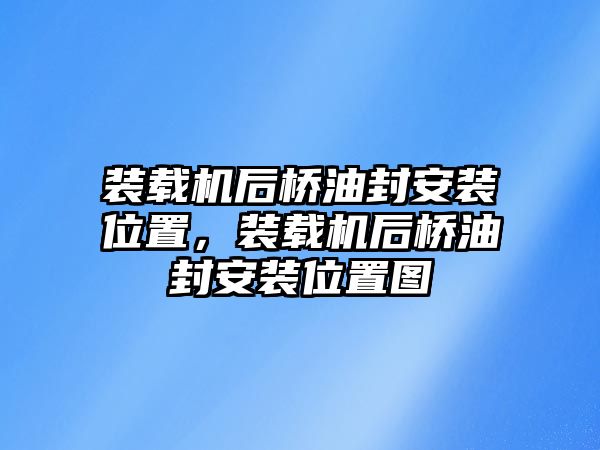 裝載機后橋油封安裝位置，裝載機后橋油封安裝位置圖