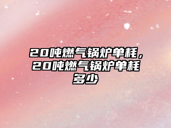 20噸燃?xì)忮仩t單耗，20噸燃?xì)忮仩t單耗多少