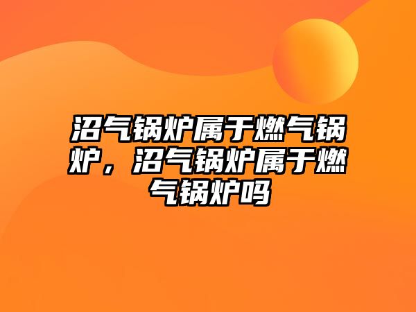 沼氣鍋爐屬于燃?xì)忮仩t，沼氣鍋爐屬于燃?xì)忮仩t嗎