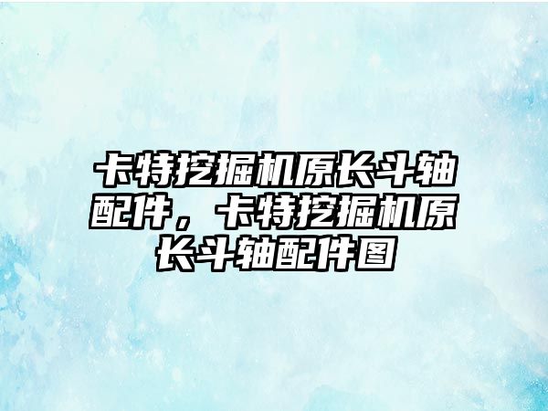 卡特挖掘機原長斗軸配件，卡特挖掘機原長斗軸配件圖