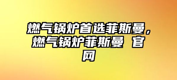 燃?xì)忮仩t首選菲斯曼，燃?xì)忮仩t菲斯曼 官網(wǎng)